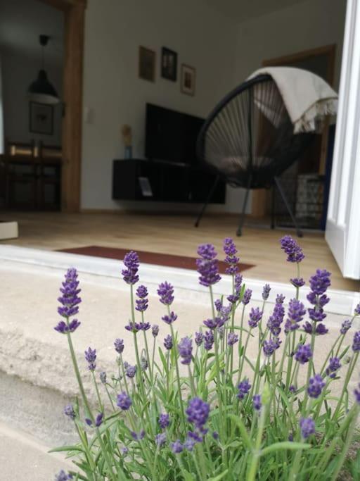 Ferienwohnung Zur Parthe Grimma Extérieur photo